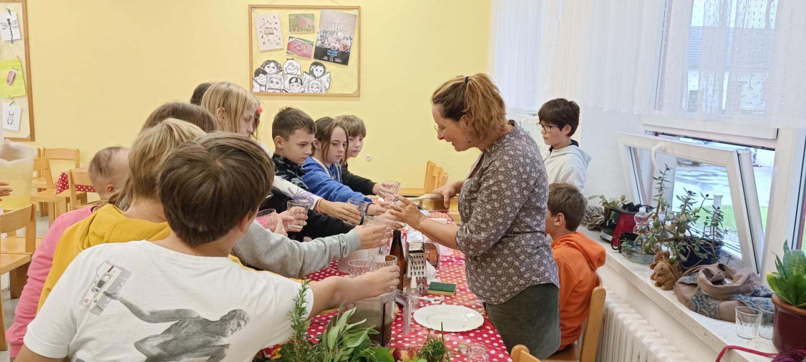 Plané rostliny na talíři