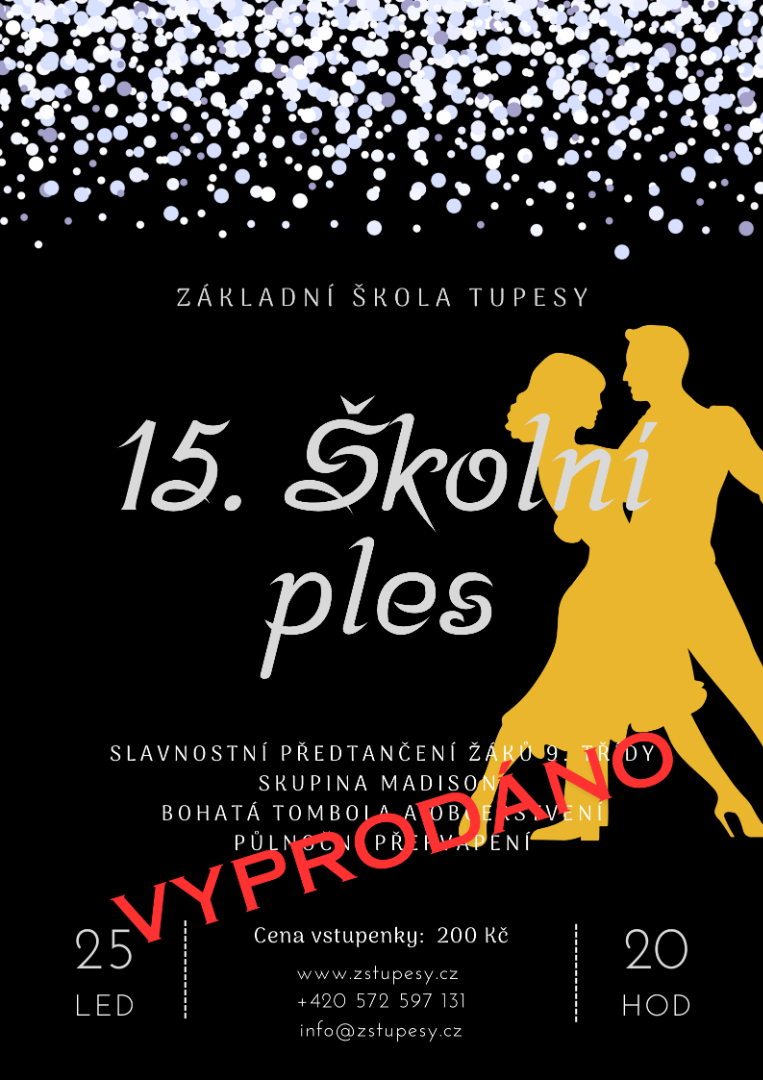 15. Školní ples